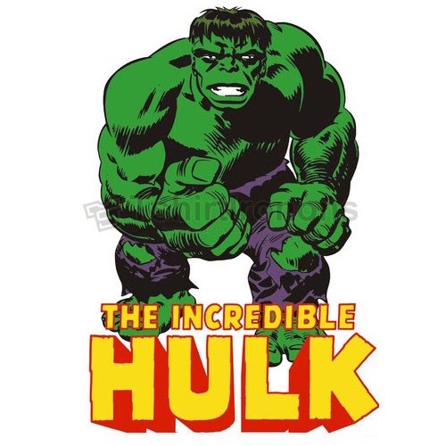 Hulk T-shirts Iron On Transfers N4535 - Click Image to Close